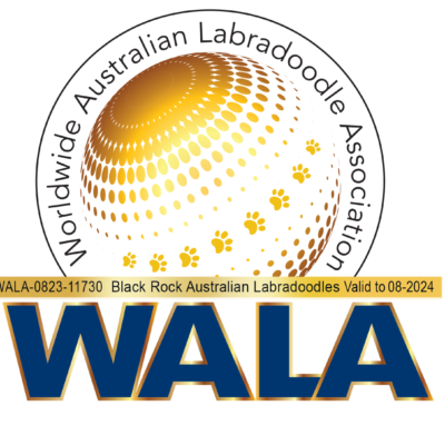 Black Rock Australian Labradoodles WALA Logo
